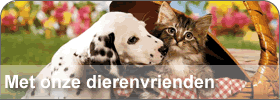 con i nostri amici