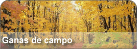 campagna